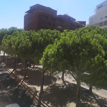 מונפלייה Charmant F2 Port Marianne מראה חיצוני תמונה